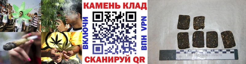 как найти наркотики  Лодейное Поле  ГАШИШ Изолятор 