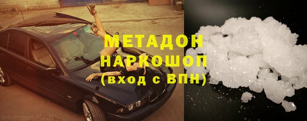 прущие грибы Алзамай