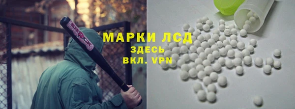 ГАЛЛЮЦИНОГЕННЫЕ ГРИБЫ Гусь-Хрустальный