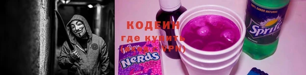 прущие грибы Алзамай