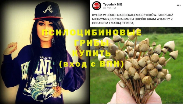 гашишное масло Алексеевка
