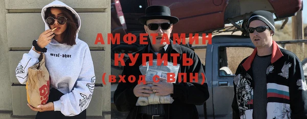 прущие грибы Алзамай
