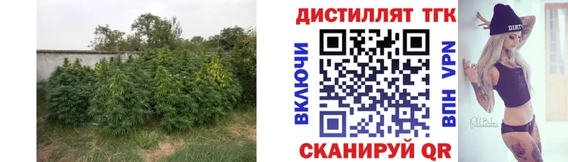 ТГК вейп с тгк  KRAKEN сайт  Лодейное Поле 