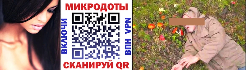 shop наркотические препараты  Лодейное Поле  Псилоцибиновые грибы Cubensis  сколько стоит 