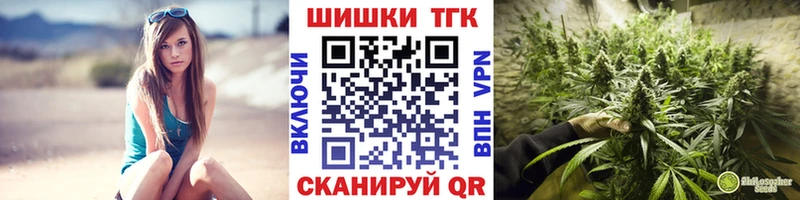 где можно купить наркотик  Лодейное Поле  Конопля марихуана 